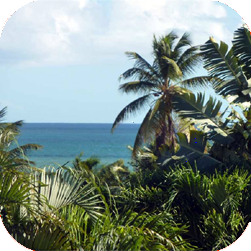 Expert comptable, Guadeloupe, Baie-Mahault, Jarry